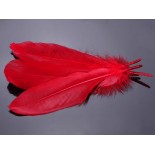 Zdjęcie - Pióra naturalne barwione koloru czerwonego 10-16cm